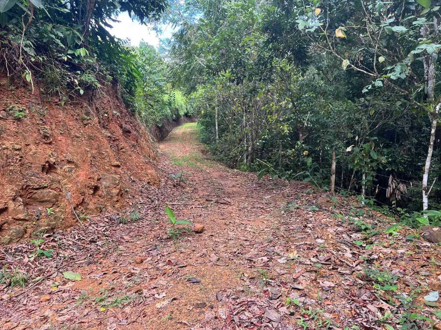 WhatsApp Image 2023-09-19 at 4.19.03 PM Beautiful 47-Acre Mountain View Farm with Many Water Sources & Many Building Areas in Platanillo Costa Rica