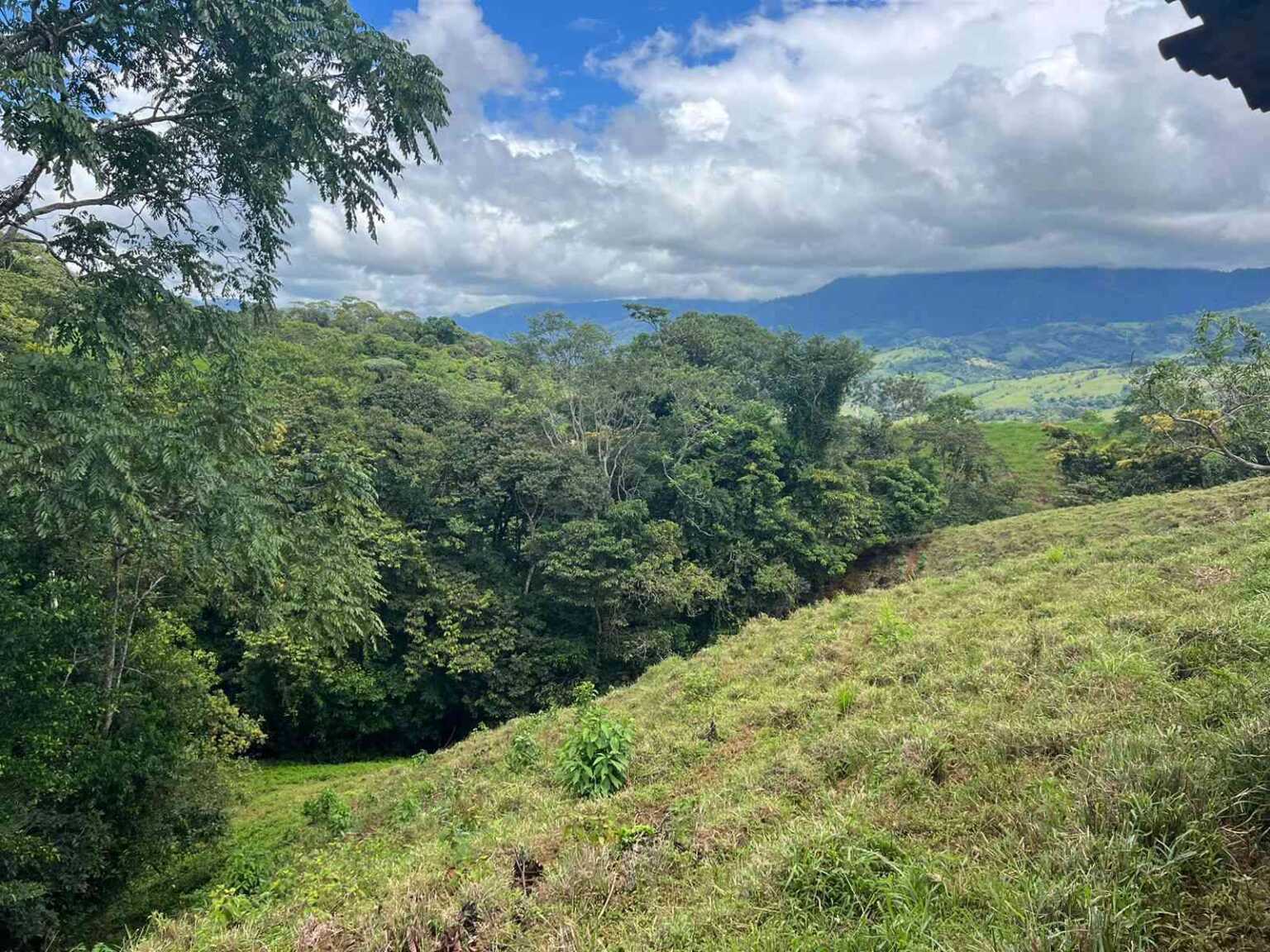 WhatsApp Image 2023-09-19 at 4.19.04 PM (2) Beautiful 47-Acre Mountain View Farm with Many Water Sources & Many Building Areas in Platanillo Costa Rica