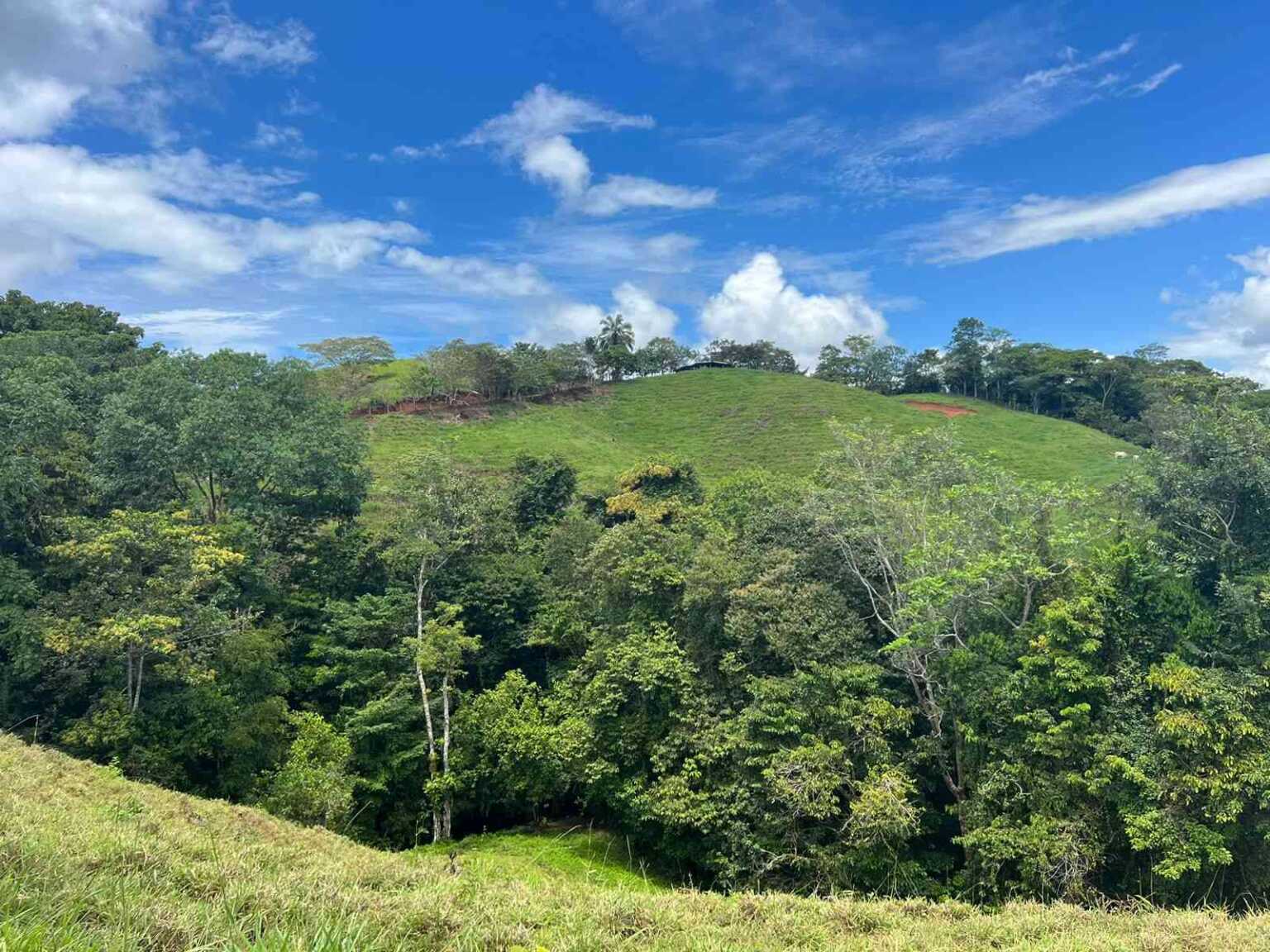 WhatsApp Image 2023-09-19 at 4.19.04 PM (3) Beautiful 47-Acre Mountain View Farm with Many Water Sources & Many Building Areas in Platanillo Costa Rica