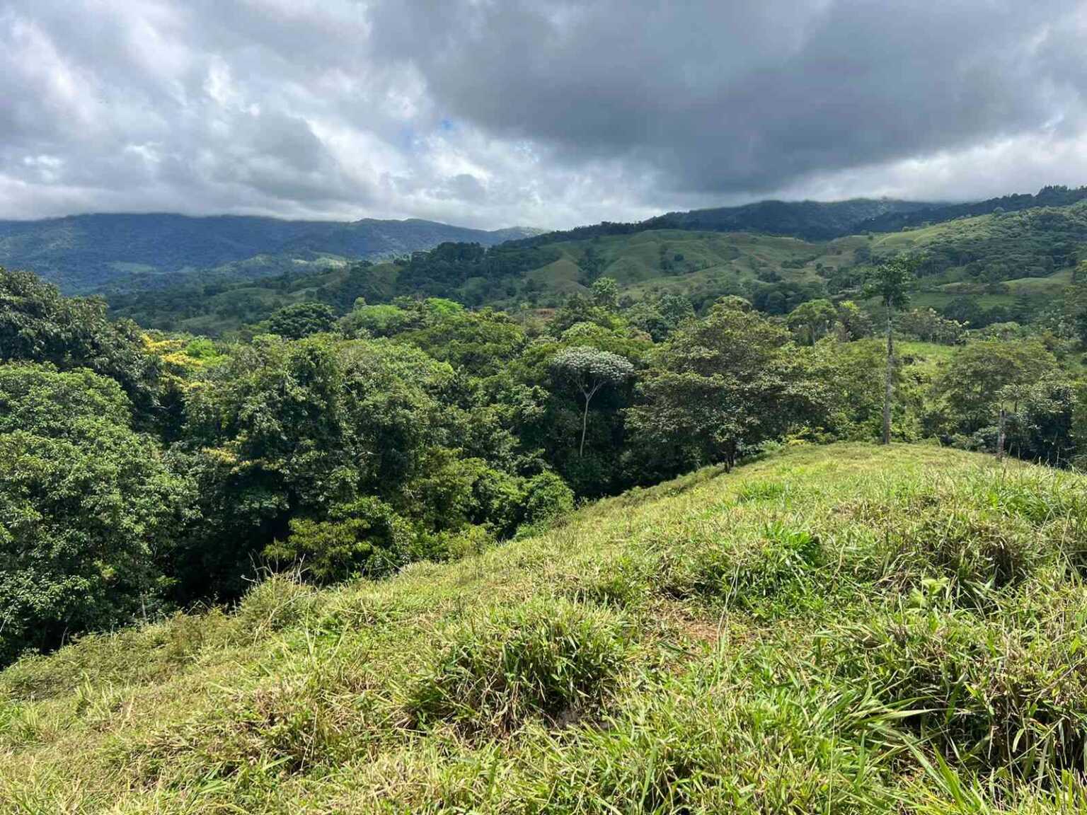 WhatsApp Image 2023-09-19 at 4.19.05 PM (1) Beautiful 47-Acre Mountain View Farm with Many Water Sources & Many Building Areas in Platanillo Costa Rica