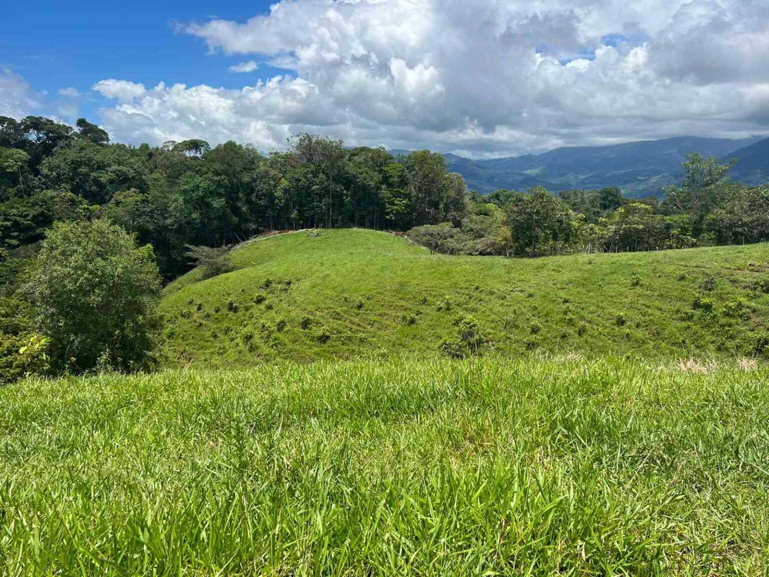 WhatsApp Image 2023-09-19 at 4.19.24 PM Beautiful 47-Acre Mountain View Farm with Many Water Sources & Many Building Areas in Platanillo Costa Rica