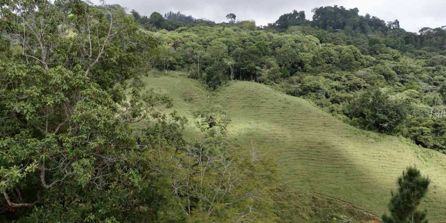 Foto 15-11-23, 1 35 33 p. m. Gorgeous Hidden Paradise Development Land with 103 Acres Near Dominical Costa Rica