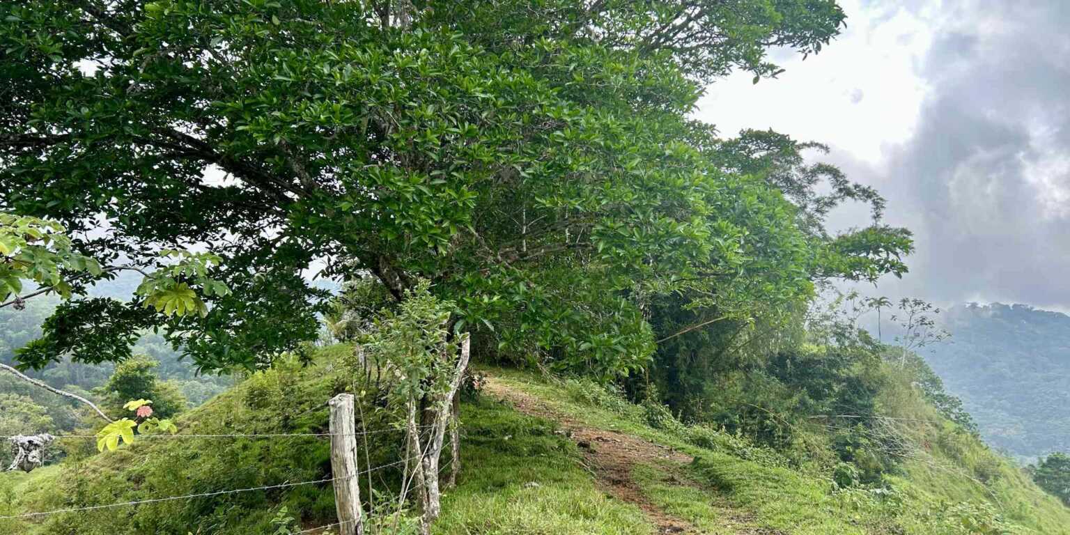Foto 15-11-23, 1 41 08 p. m. Gorgeous Hidden Paradise Development Land with 103 Acres Near Dominical Costa Rica