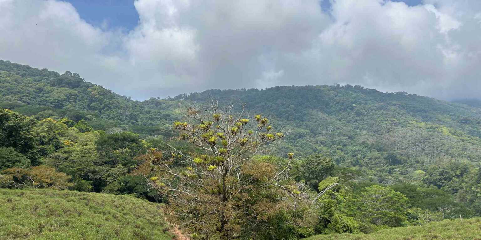 Foto 21-4-24, 10 10 41 a. m. Gorgeous Hidden Paradise Development Land with 103 Acres Near Dominical Costa Rica