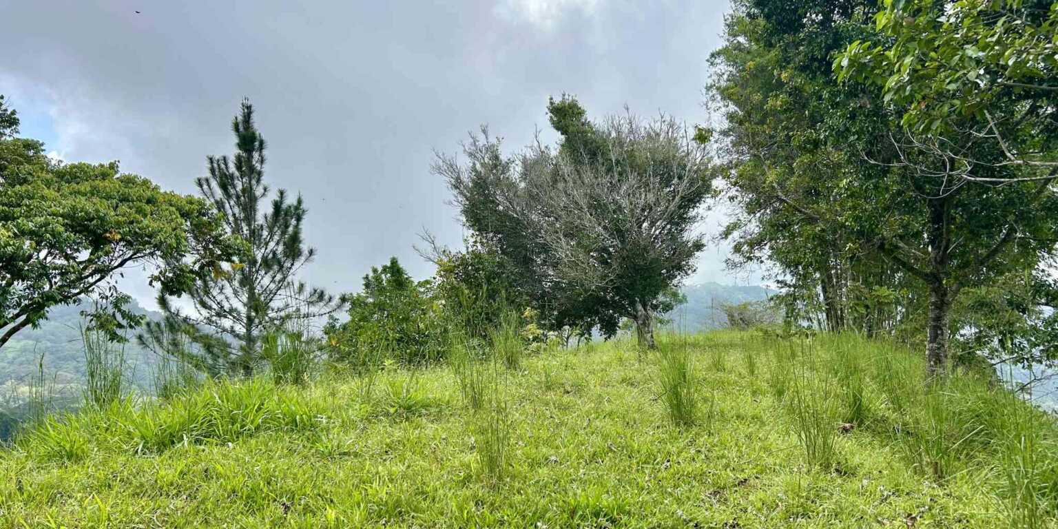 Foto 15-11-23, 1 39 11 p. m. Gorgeous Hidden Paradise Development Land with 103 Acres Near Dominical Costa Rica