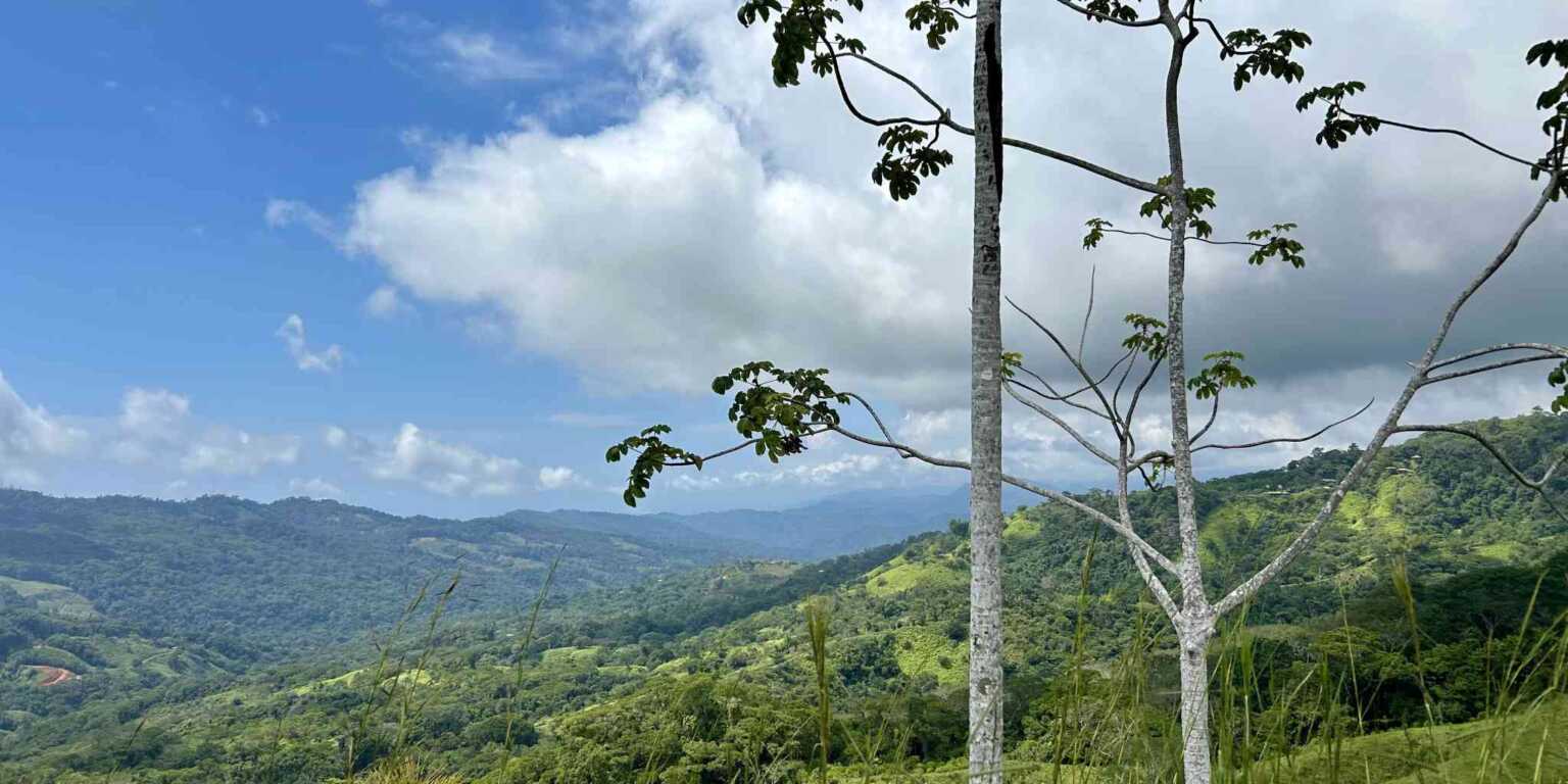 Foto 15-11-23, 12 32 27 p. m. Gorgeous Hidden Paradise Development Land with 103 Acres Near Dominical Costa Rica