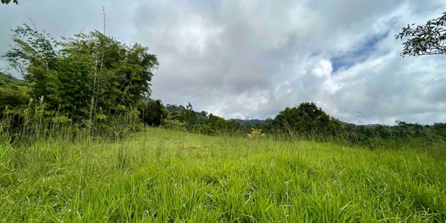Foto 15-11-23, 12 32 42 p. m. Gorgeous Hidden Paradise Development Land with 103 Acres Near Dominical Costa Rica