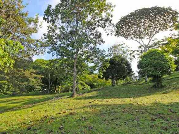 Ocean & Mountain View Development Property or Farm, photo 5 of 24