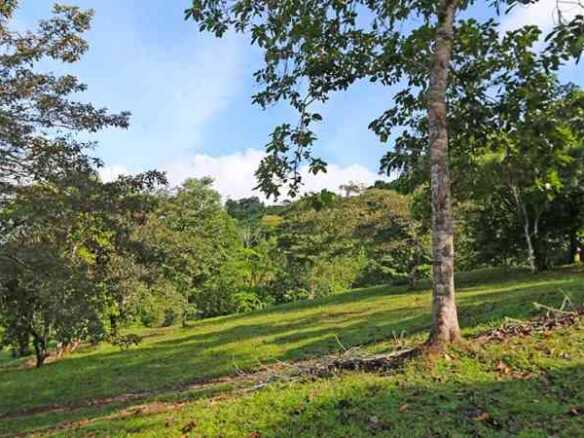 Ocean & Mountain View Development Property or Farm, photo 7 of 24