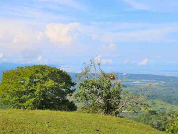 Ocean & Mountain View Development Property or Farm, photo 12 of 24