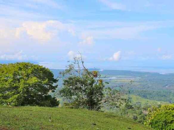 Ocean & Mountain View Development Property or Farm, photo 3 of 24