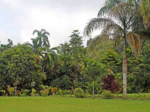 Ocean & Mountain View Development Property or Farm, photo 4 of 24