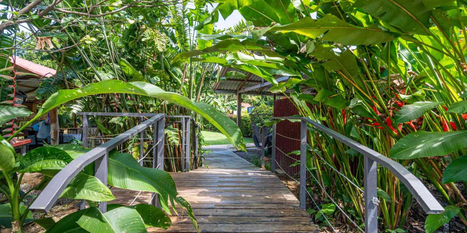 Easy Access 18-Bed Hotel in Prime Location Near Beaches & National Park in Bahia near Uvita Costa Rica