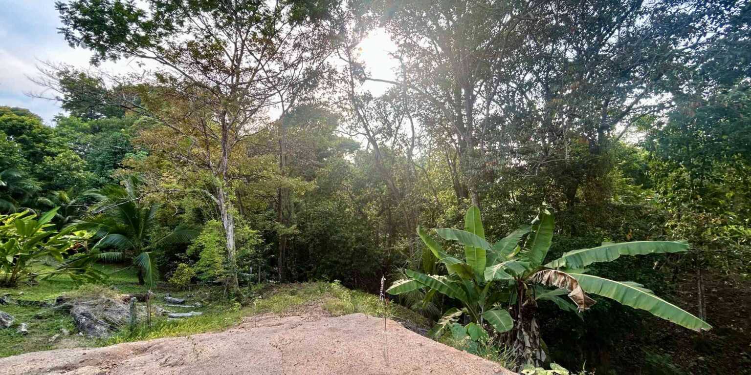 Pre-Construction Creek 3-Bedroom Home with Creek & Pool in Playa Hermosa near Uvita Costa Rica