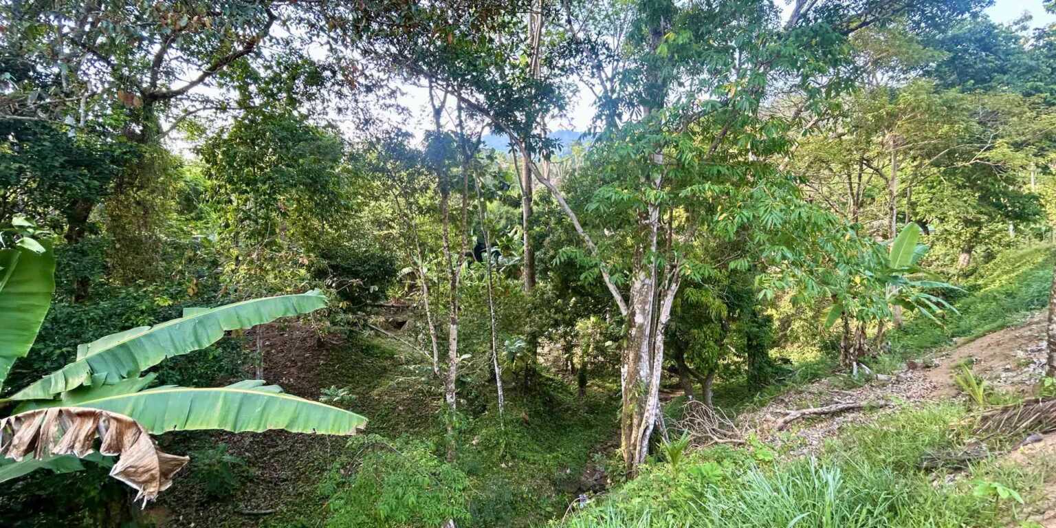 Pre-Construction Creek 3-Bedroom Home with Creek & Pool in Playa Hermosa near Uvita Costa Rica