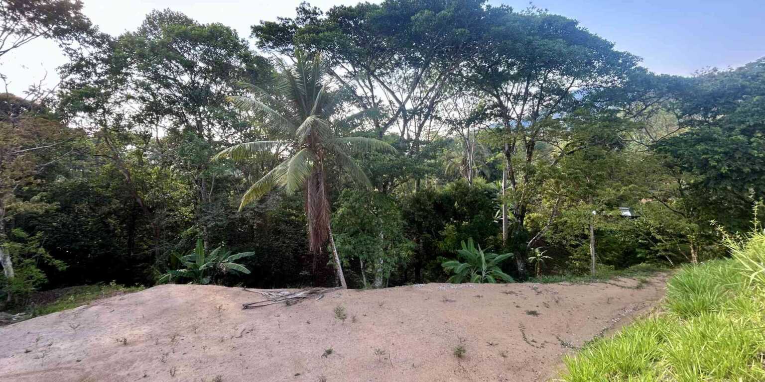 Pre-Construction Creek 3-Bedroom Home with Creek & Pool in Playa Hermosa near Uvita Costa Rica