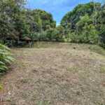 Beautiful forested building lot with creek and mature trees in Ojochal Costa Rica