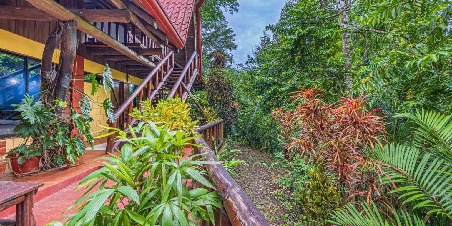 ConeCat-29 Rustic Hotel with Restaurant in a Convenient Location near Beaches & Town in Bahia near Uvita Costa Rica