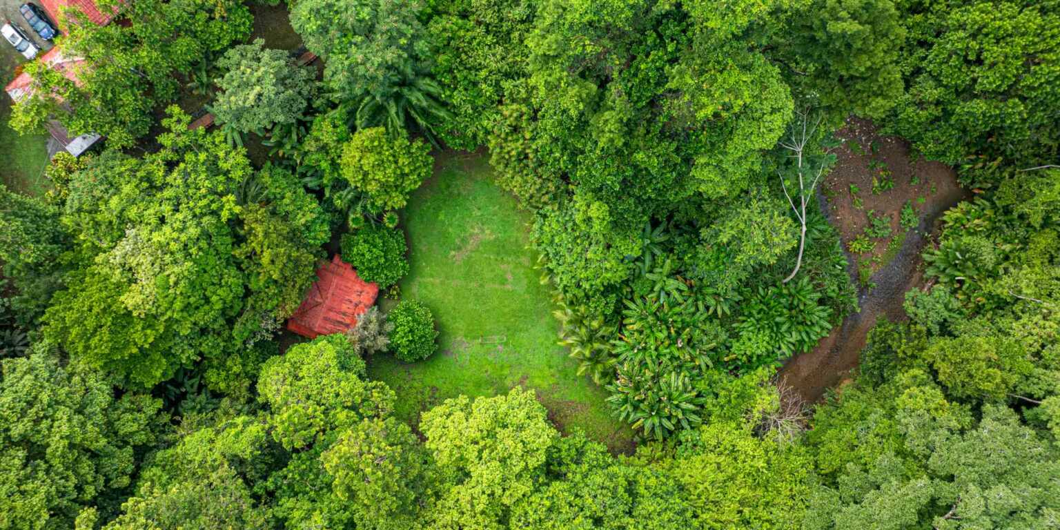 ConeCat-04 Rustic Hotel with Restaurant in a Convenient Location near Beaches & Town in Bahia near Uvita Costa Rica