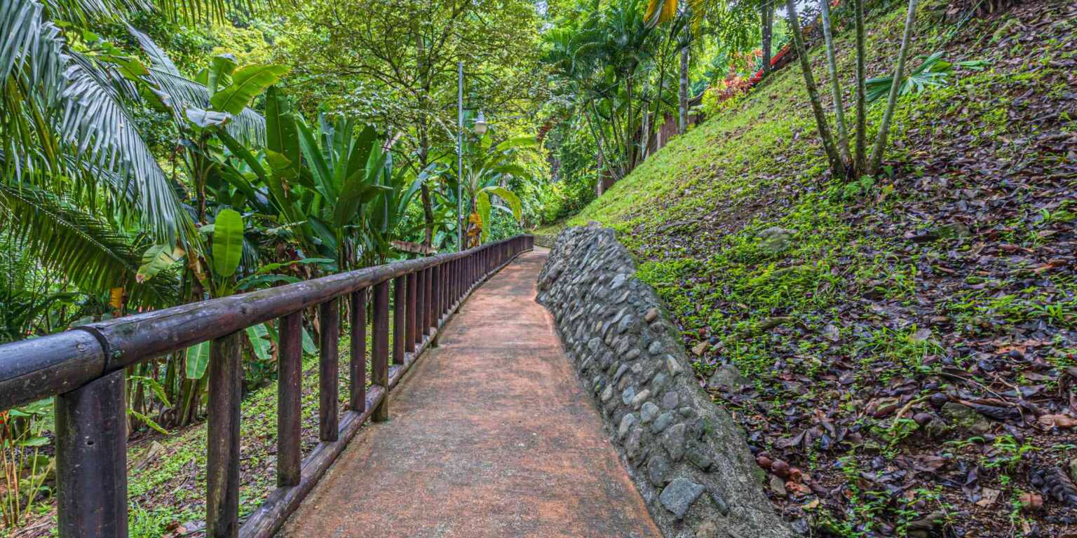 ConeCat-10(1) Rustic Hotel with Restaurant in a Convenient Location near Beaches & Town in Bahia near Uvita Costa Rica
