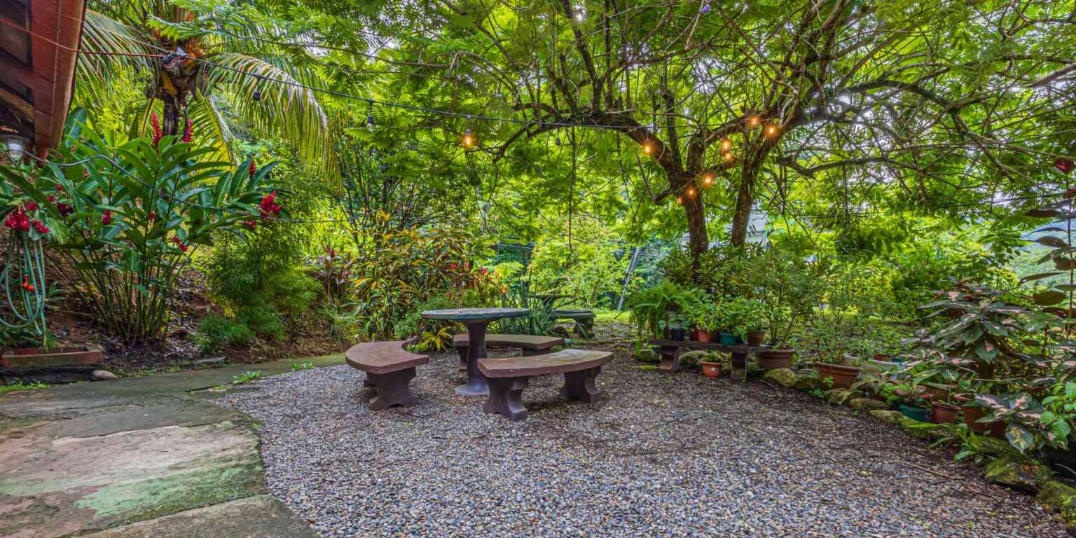 ConeCat-19 Rustic Hotel with Restaurant in a Convenient Location near Beaches & Town in Bahia near Uvita Costa Rica