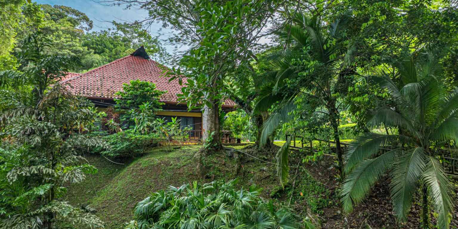 ConeCat-06 Rustic Hotel with Restaurant in a Convenient Location near Beaches & Town in Bahia near Uvita Costa Rica