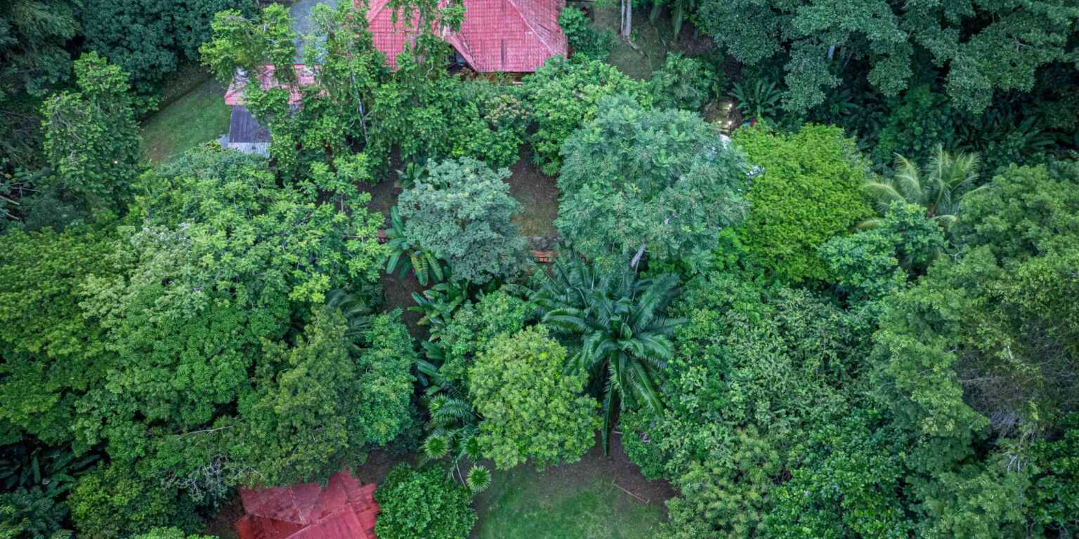 ConeCat-11 Rustic Hotel with Restaurant in a Convenient Location near Beaches & Town in Bahia near Uvita Costa Rica