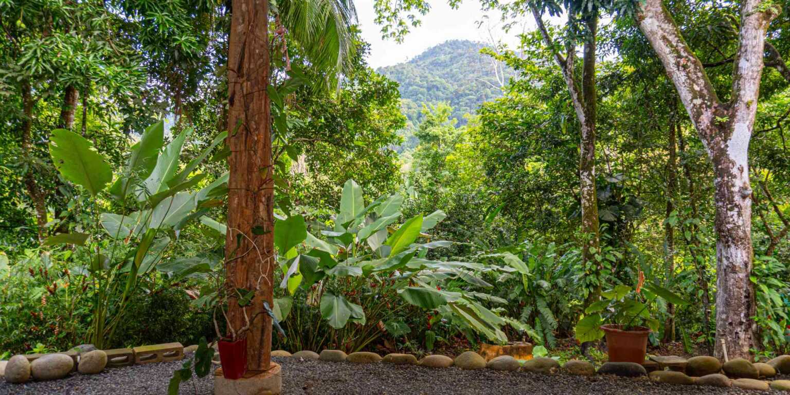 Foto 23-5-24, 7 44 13 a. m. Charming 4-Bedroom Home with Fruit Orchard, Close to Incredible Beach in Playa Hermosa near Uvita Costa Rica