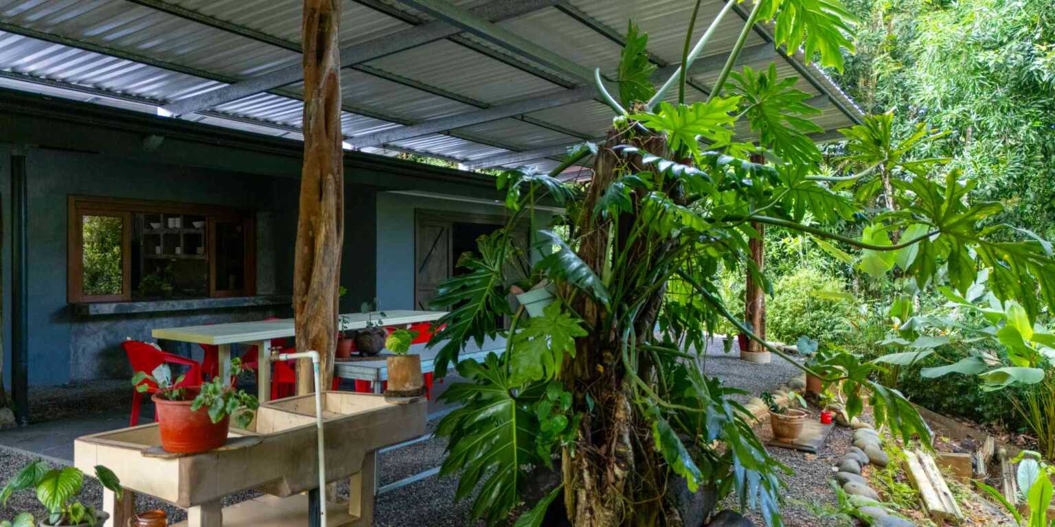 Foto 23-5-24, 7 44 37 a. m. (1) Charming 4-Bedroom Home with Fruit Orchard, Close to Incredible Beach in Playa Hermosa near Uvita Costa Rica