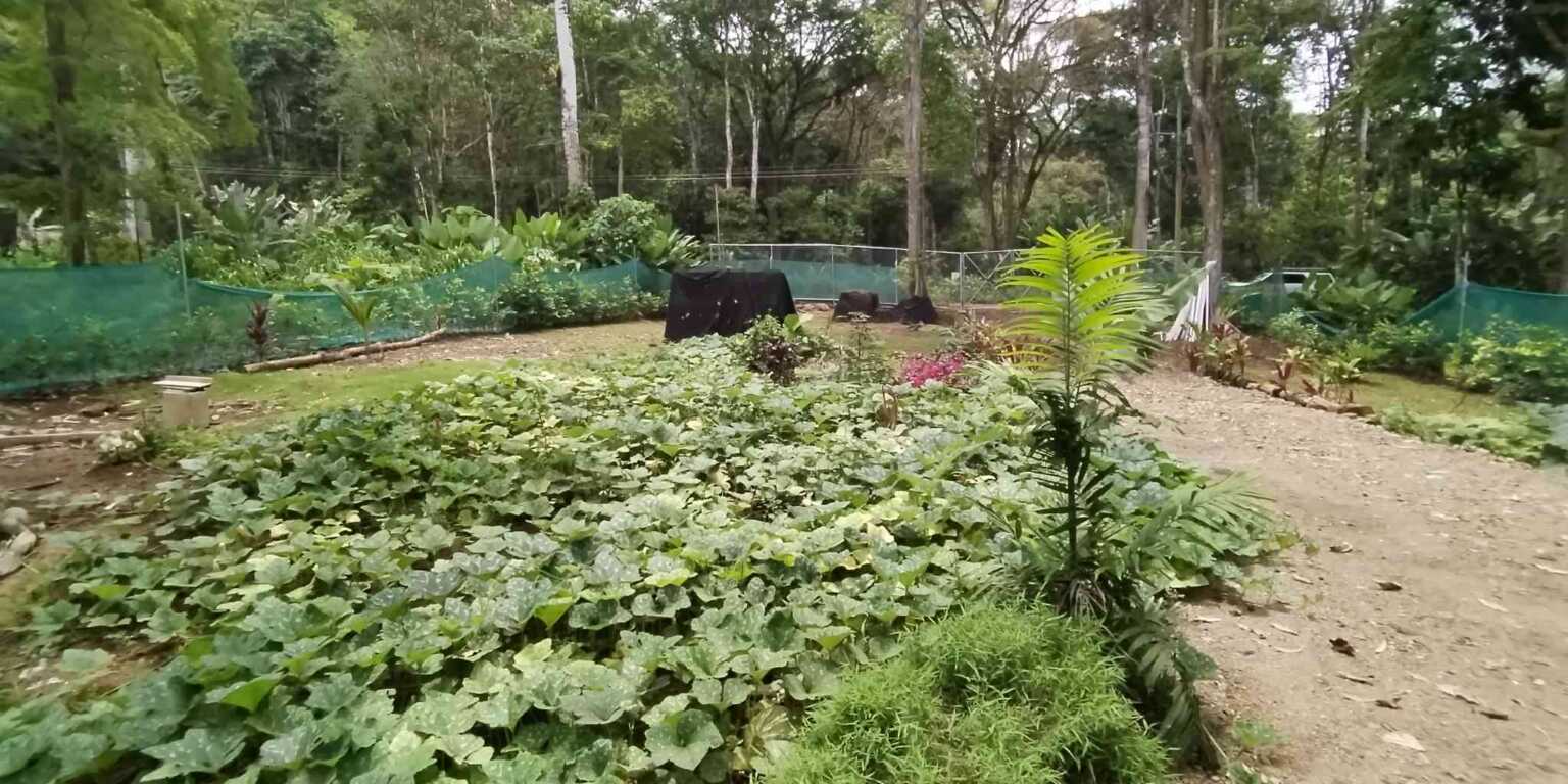 Modern 2-Bedroom Home Near Popular Uvita River Swimming Hole in Uvita Costa Rica