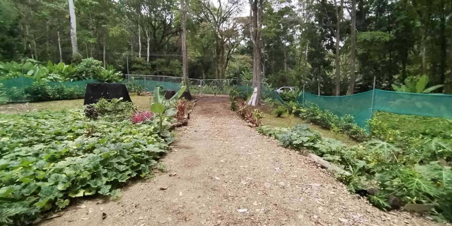 Modern 2-Bedroom Home Near Popular Uvita River Swimming Hole in Uvita Costa Rica