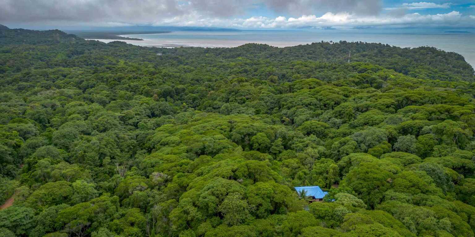 Ojochal-62 Jungle Home Totally Private 3-Bedroom Home in Easy Access Location in Ojochal Costa Rica
