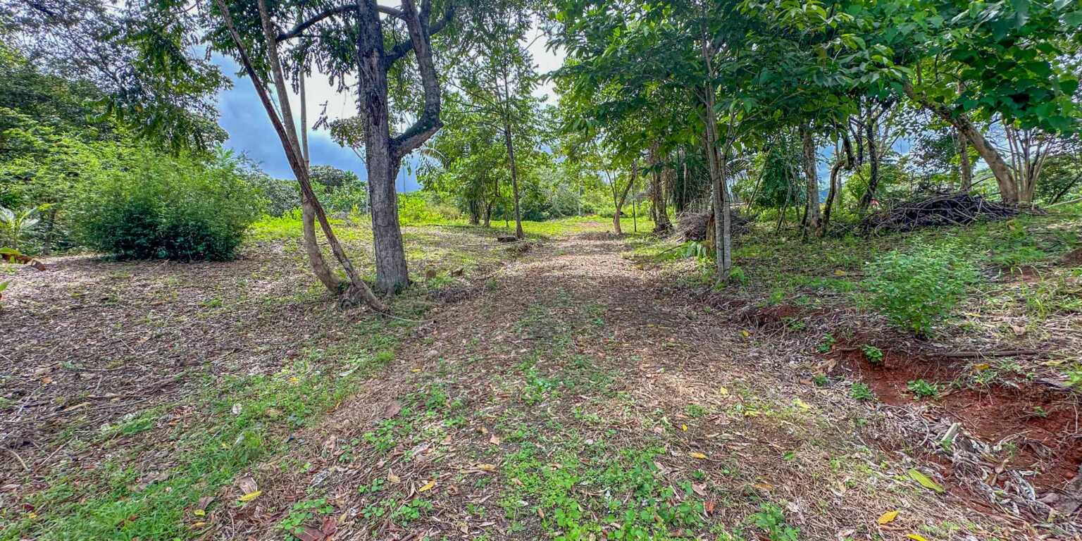1 (19) Building Lot with Jungle & Creek with 1.8 Acres Secure Gated Community in Ojochal Costa Rica