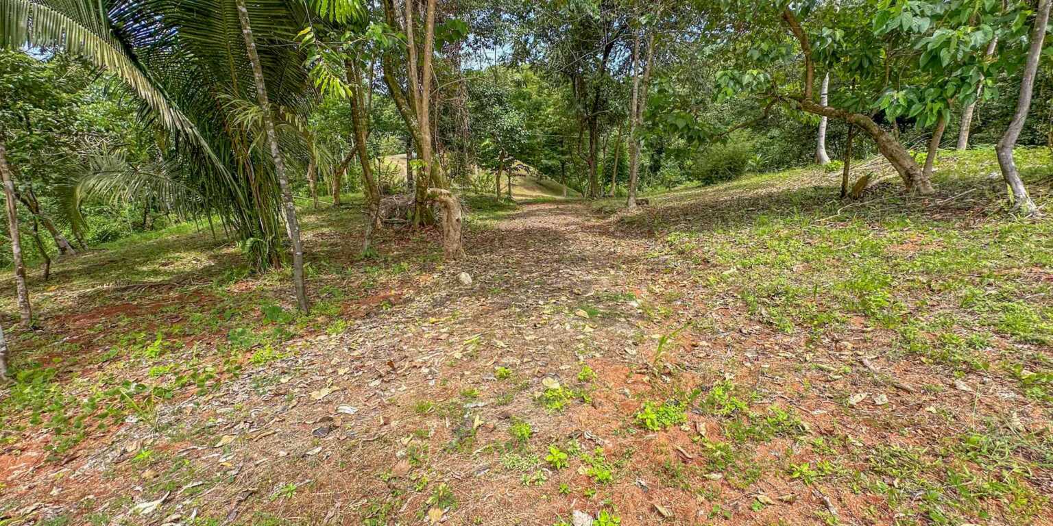 1 (21) Building Lot with Jungle & Creek with 1.8 Acres Secure Gated Community in Ojochal Costa Rica