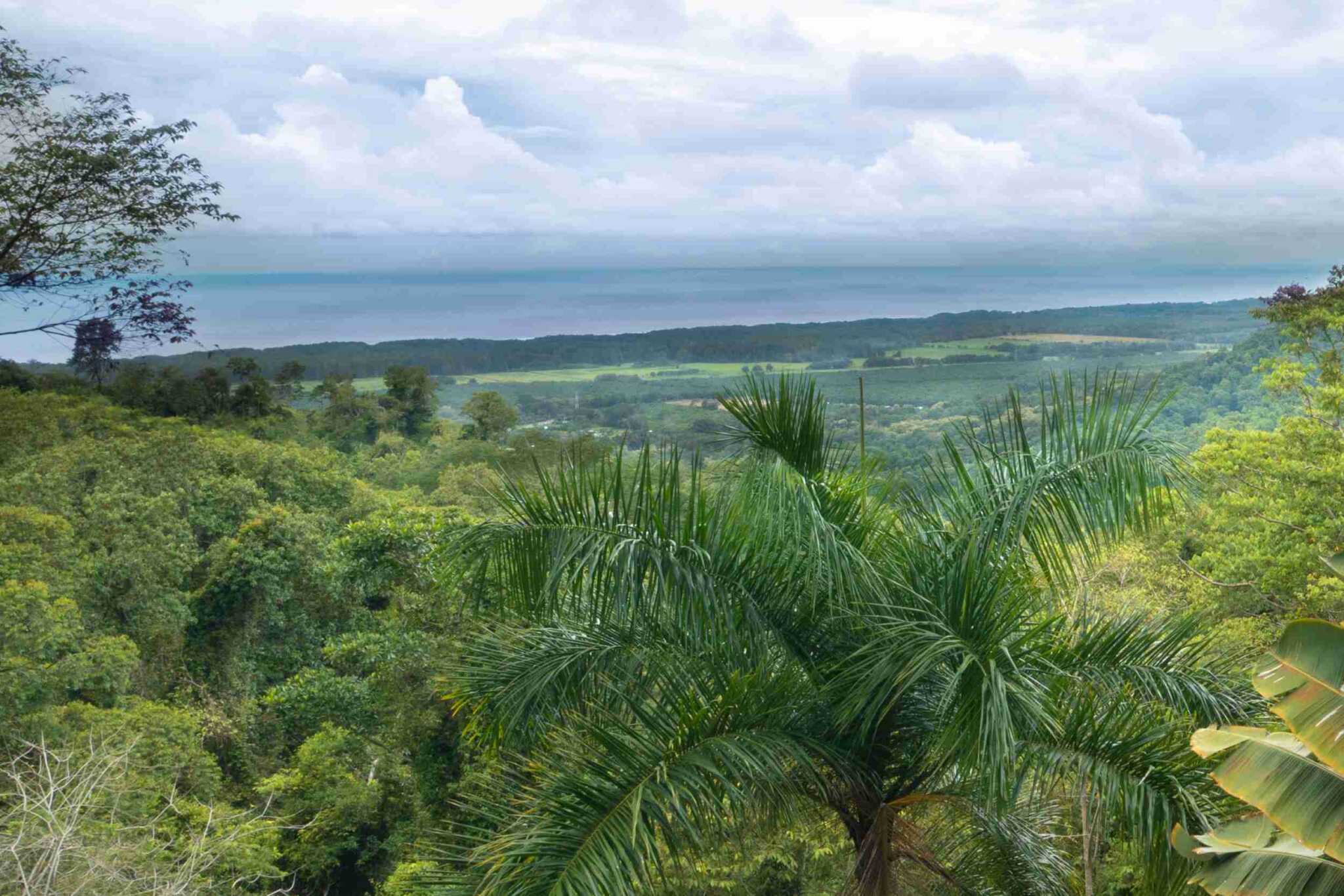 Ocean View Modern House-30 Private, Modern Ocean View 4-Bedroom Home with Modern Style in Portalon near Dominical Costa Rica