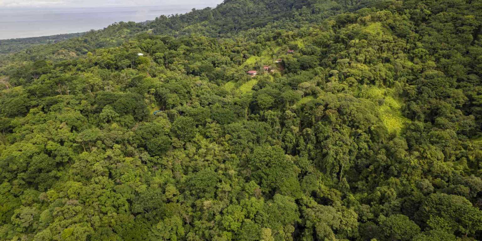 Pics-8 Award Winning Boutique Hotel/Bed and Breakfast with Big Mountain & Ocean Views on 10 Acres in Uvita Costa Rica