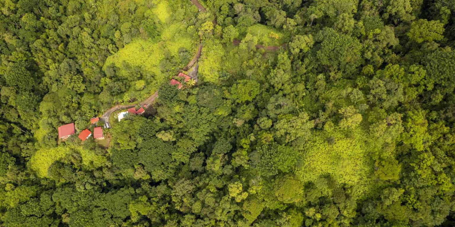 Pics-19 Award Winning Boutique Hotel/Bed and Breakfast with Big Mountain & Ocean Views on 10 Acres in Uvita Costa Rica