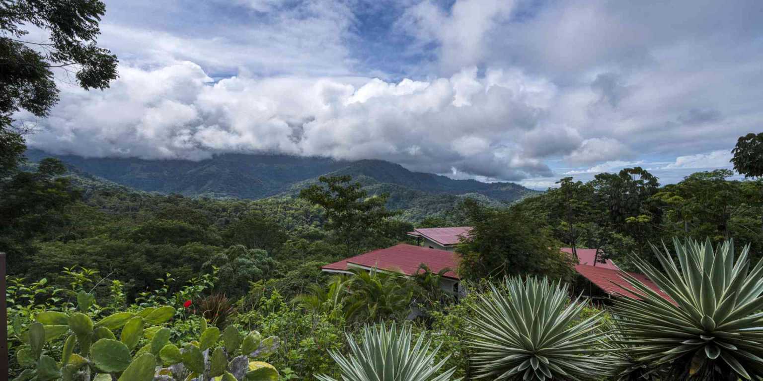 Pics-73 Award Winning Boutique Hotel/Bed and Breakfast with Big Mountain & Ocean Views on 10 Acres in Uvita Costa Rica