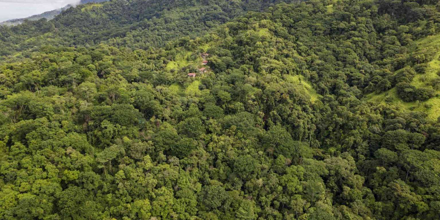 Pics-6 Award Winning Boutique Hotel/Bed and Breakfast with Big Mountain & Ocean Views on 10 Acres in Uvita Costa Rica