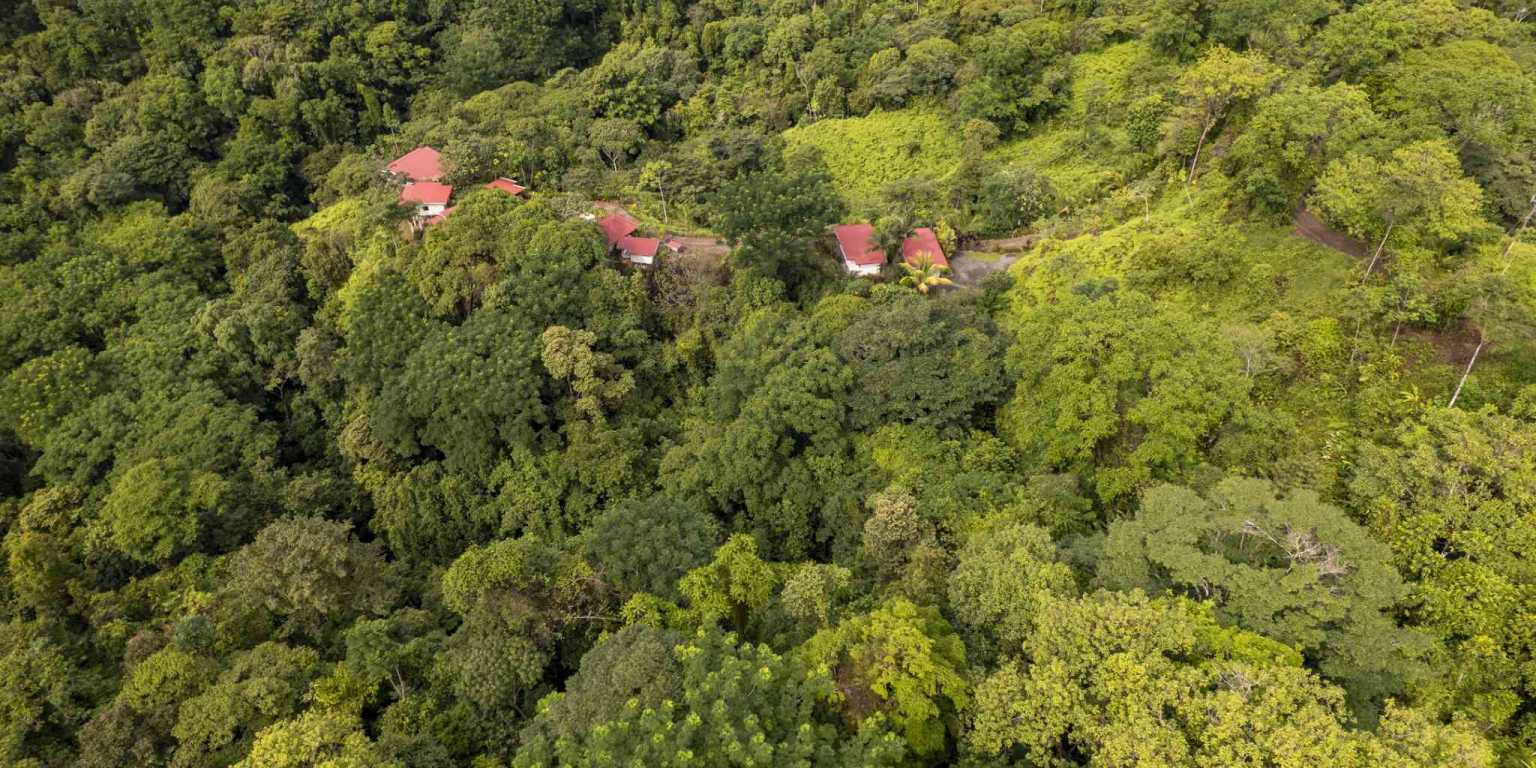 Pics-14 Award Winning Boutique Hotel/Bed and Breakfast with Big Mountain & Ocean Views on 10 Acres in Uvita Costa Rica