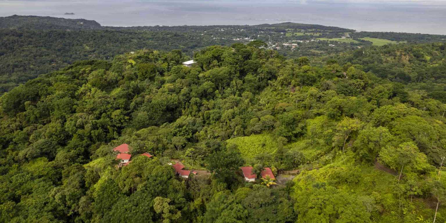 Pics-15 Award Winning Boutique Hotel/Bed and Breakfast with Big Mountain & Ocean Views on 10 Acres in Uvita Costa Rica