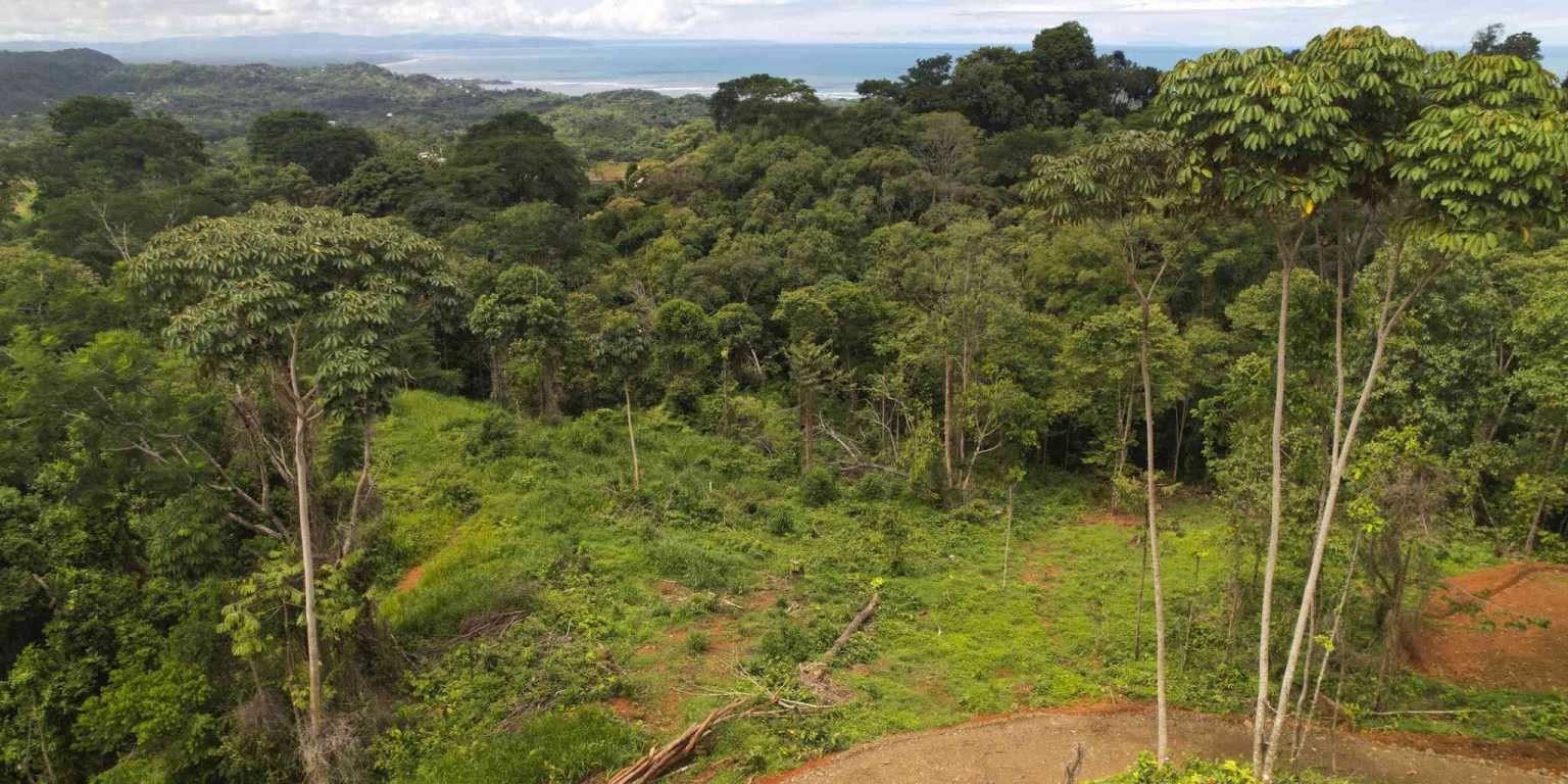 Ocean View 4-Acres Building Lot on Caracara Ridge in Ojochal Costa Rica