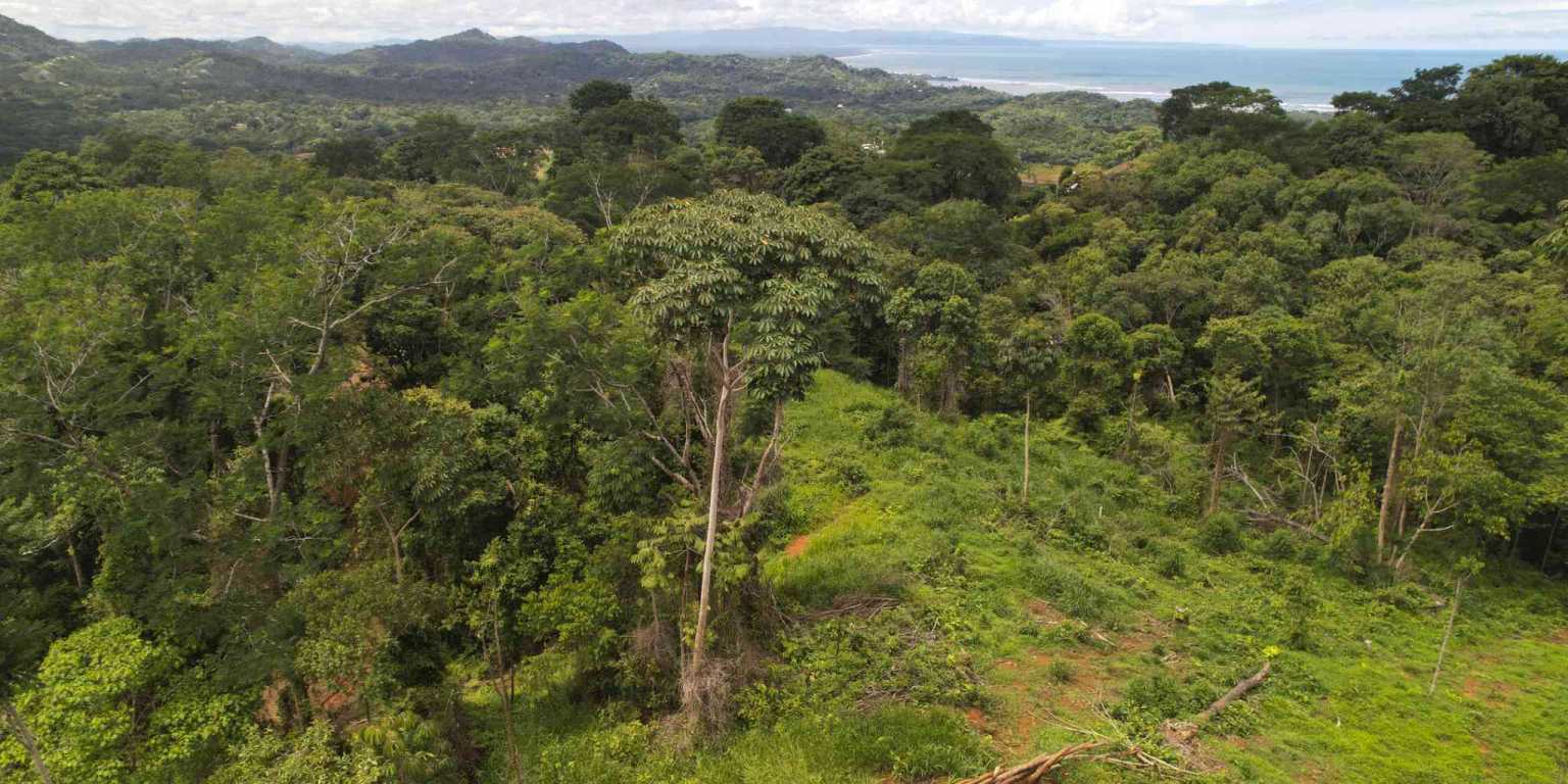 Ocean View 4-Acres Building Lot on Caracara Ridge in Ojochal Costa Rica
