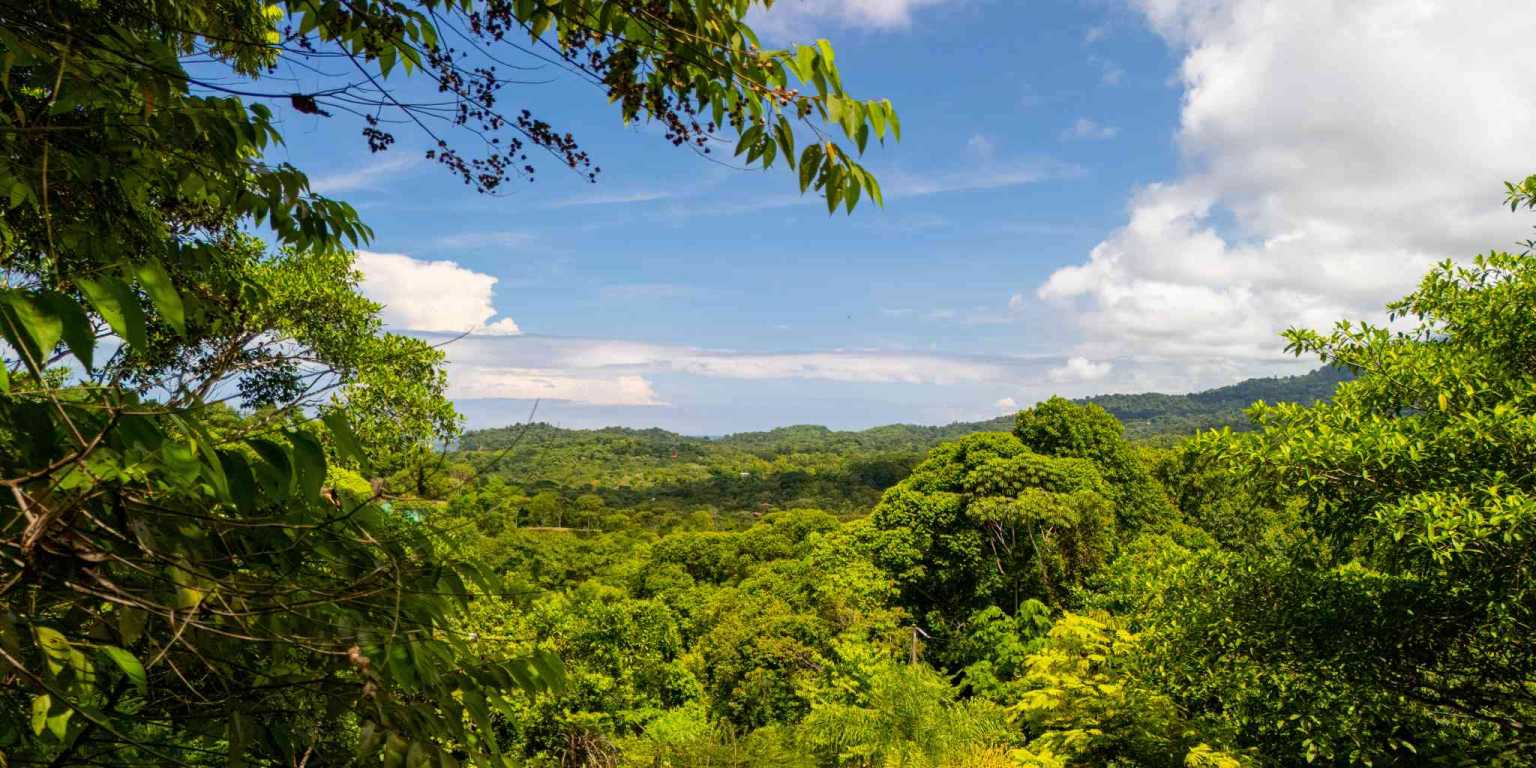 DJI_20240822100240_0477_D Stunning Casa Lucia, An Ocean Mountain View Gem! Finca Maranon