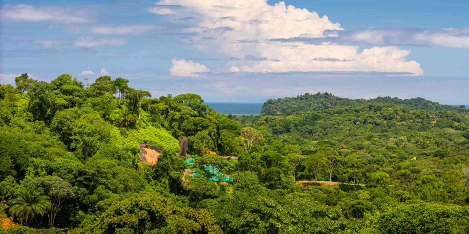 DJI_20240822101145_0486_D Stunning Casa Lucia, An Ocean Mountain View Gem! Finca Maranon