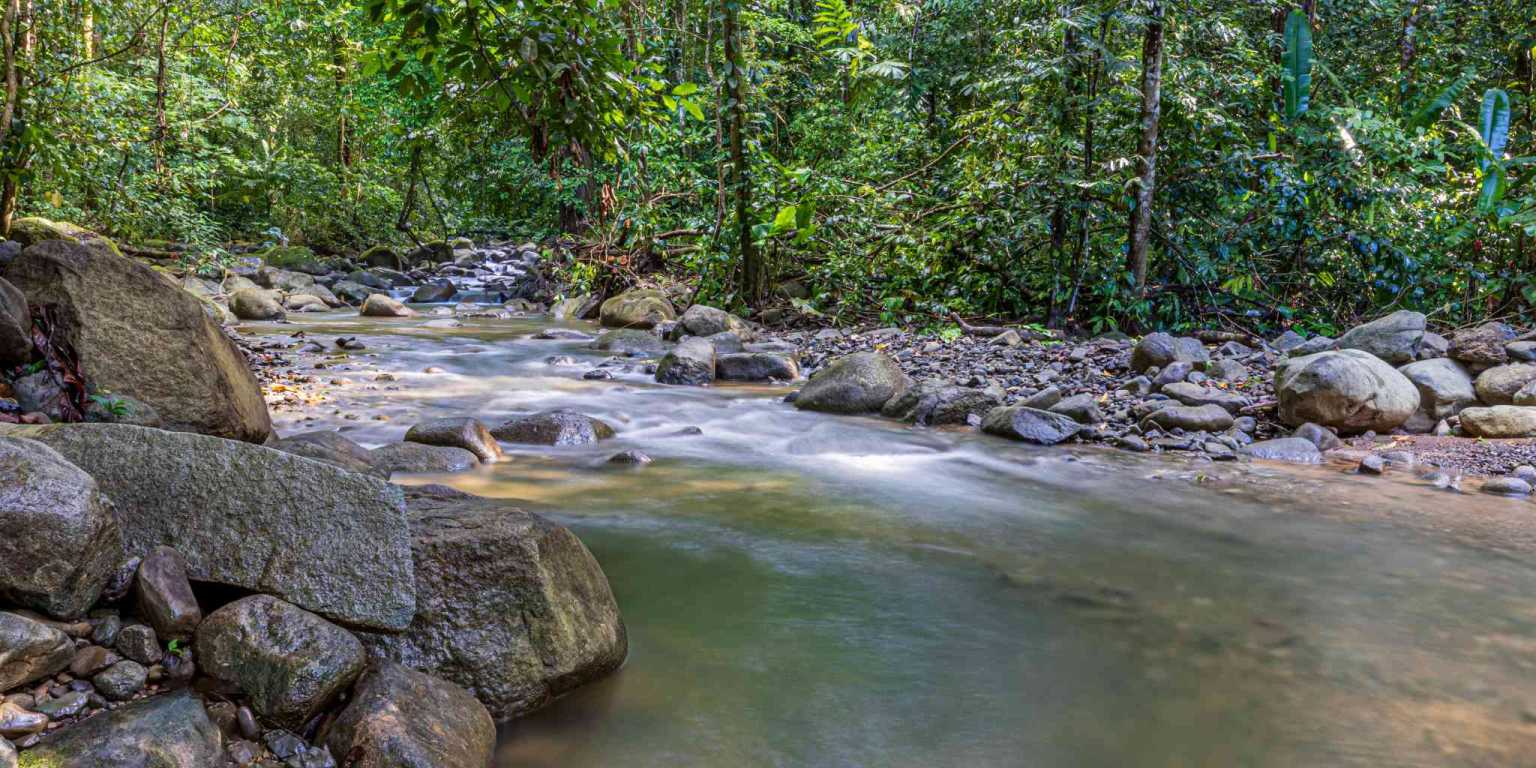 ConeCat-11(1) Versatile Riverfront Retreat on 5.3 Acres with Multiple Homes Perfect for Family Compound or Retreat Center in Ojochal Costa Rica
