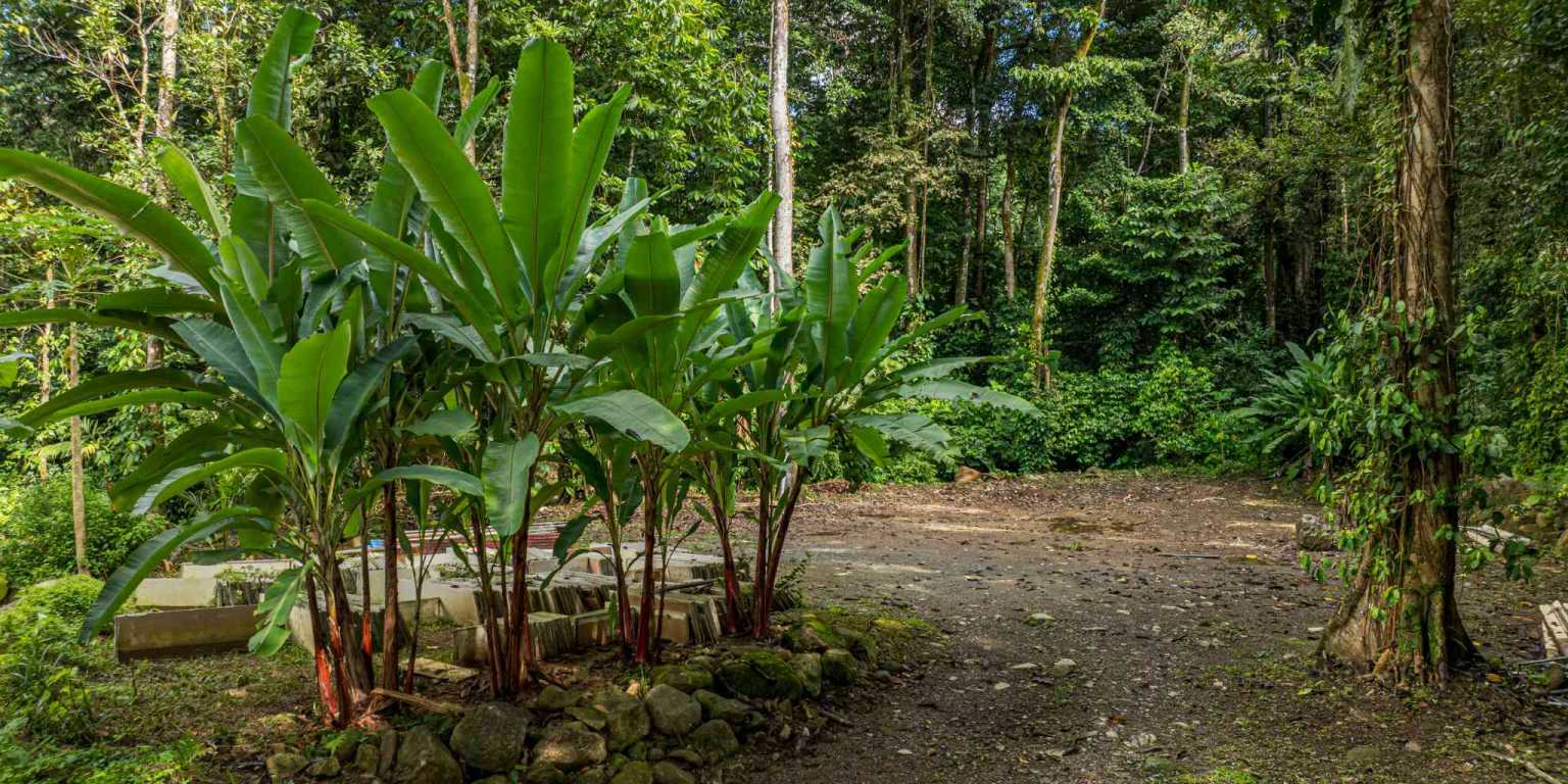 ConeCat-09 Versatile Riverfront Retreat on 5.3 Acres with Multiple Homes Perfect for Family Compound or Retreat Center in Ojochal Costa Rica