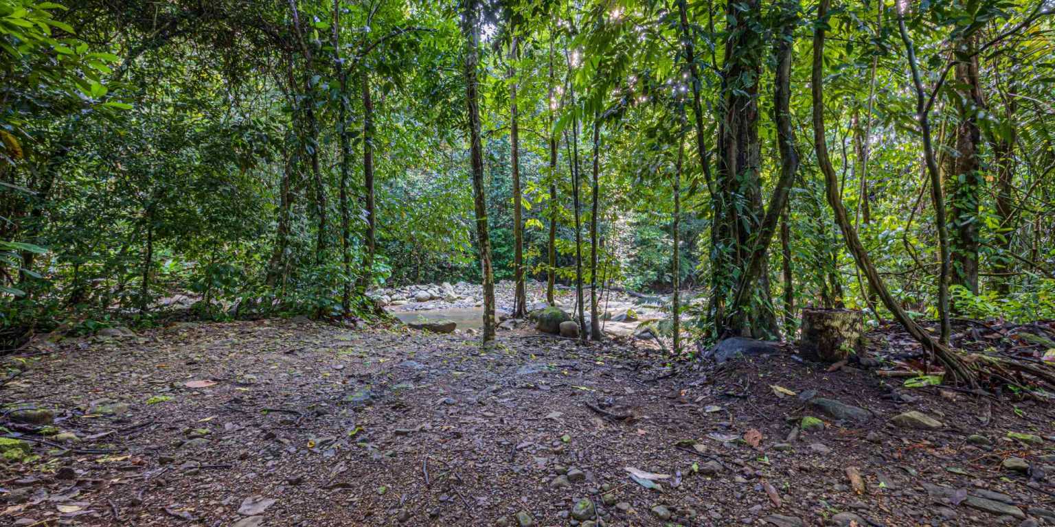 ConeCat-09(1) Versatile Riverfront Retreat on 5.3 Acres with Multiple Homes Perfect for Family Compound or Retreat Center in Ojochal Costa Rica
