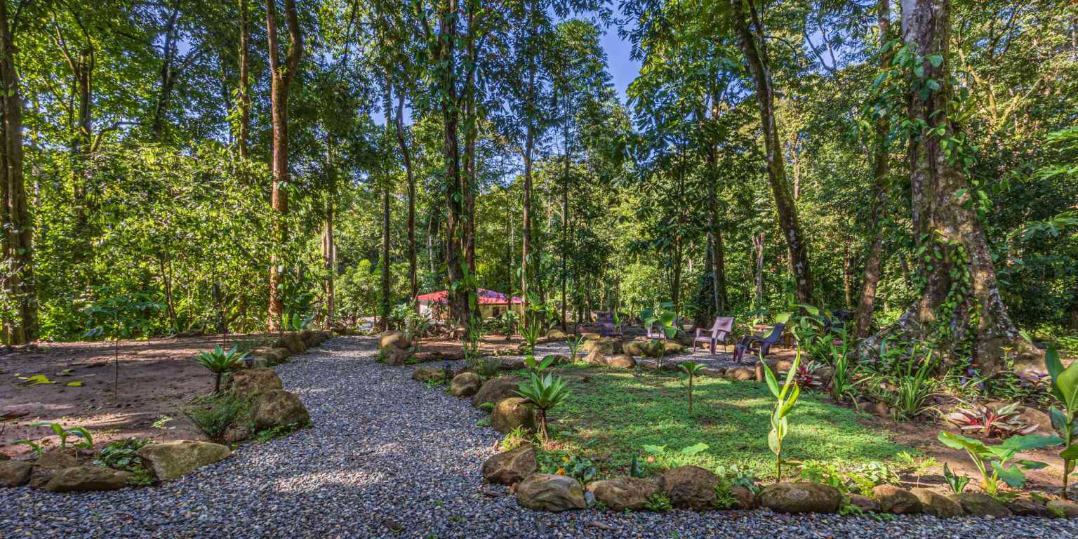 ConeCat-01 Versatile Riverfront Retreat on 5.3 Acres with Multiple Homes Perfect for Family Compound or Retreat Center in Ojochal Costa Rica