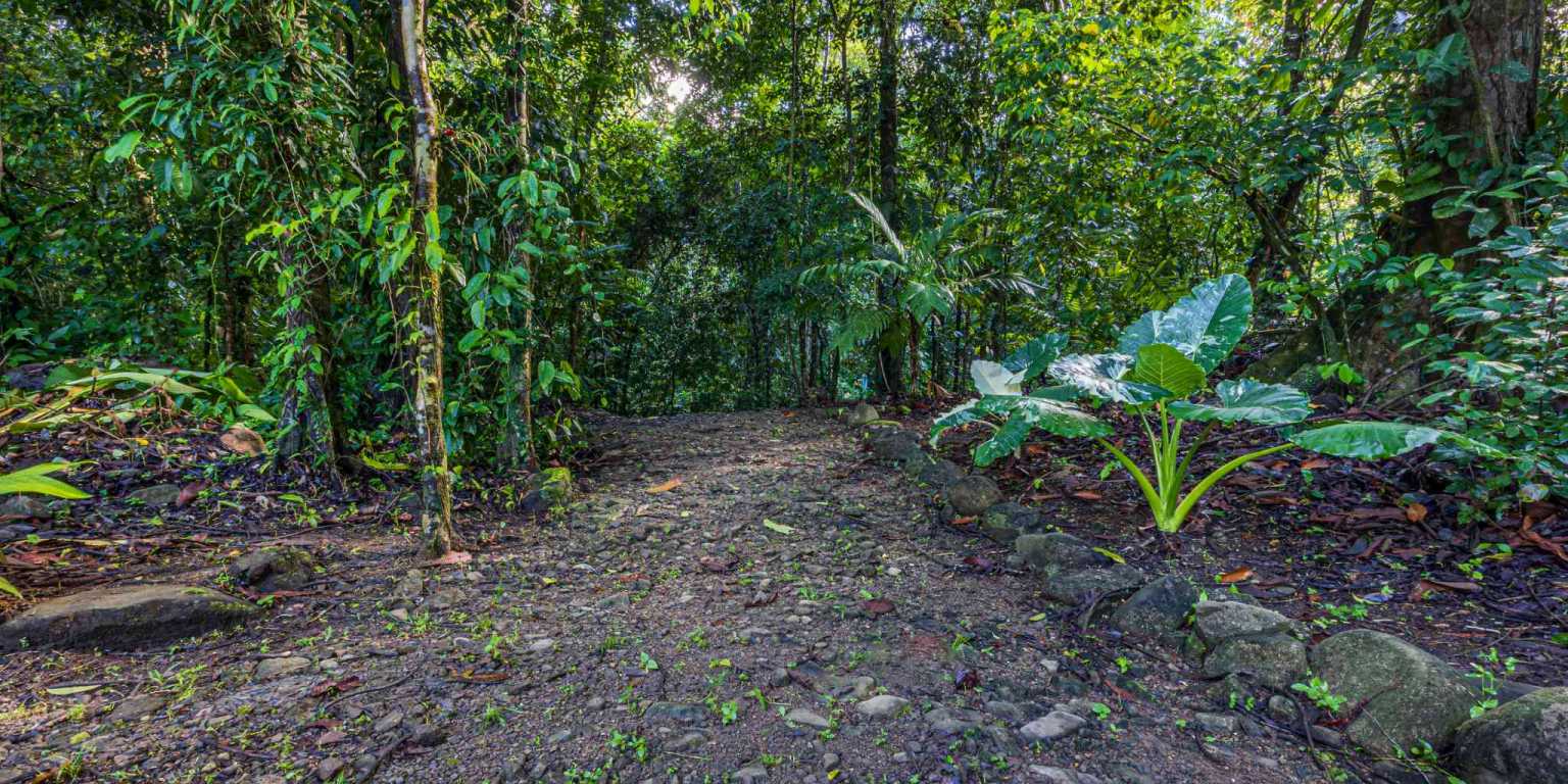 ConeCat-08 Versatile Riverfront Retreat on 5.3 Acres with Multiple Homes Perfect for Family Compound or Retreat Center in Ojochal Costa Rica